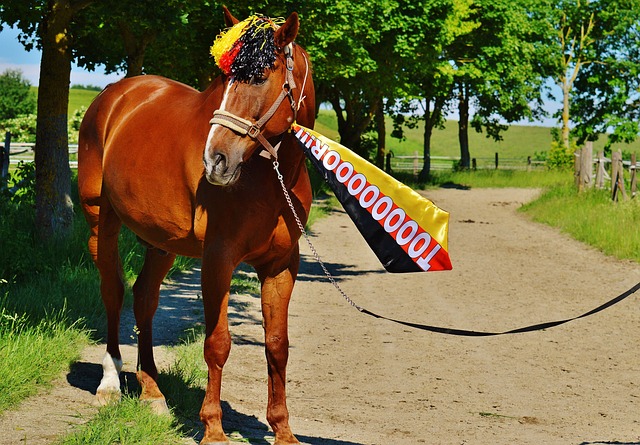 0胜5负，净输106分！NBA被高估的夺冠热门，四巨头豪阵该散伙了.