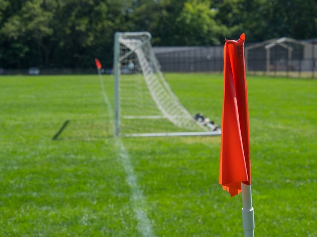 往往会为选 往往会为选